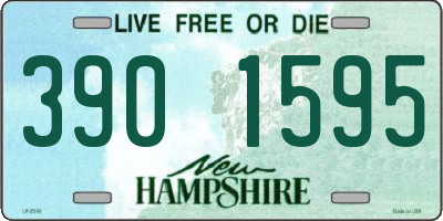NH license plate 3901595