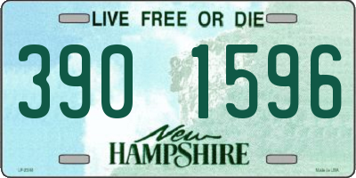 NH license plate 3901596