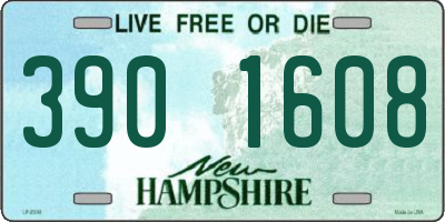 NH license plate 3901608