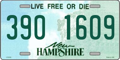 NH license plate 3901609