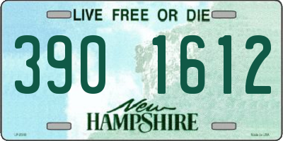 NH license plate 3901612