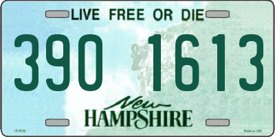 NH license plate 3901613