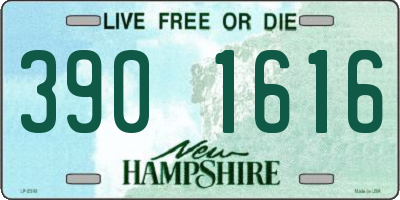 NH license plate 3901616