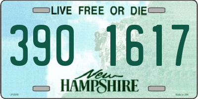 NH license plate 3901617