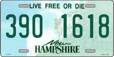 NH license plate 3901618