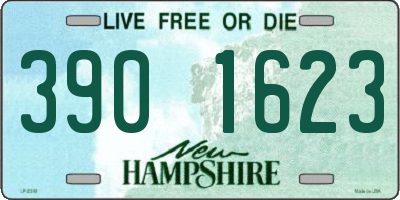 NH license plate 3901623
