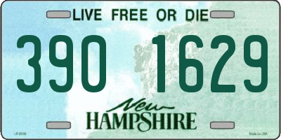 NH license plate 3901629