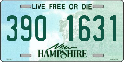 NH license plate 3901631