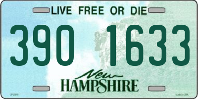 NH license plate 3901633