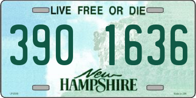 NH license plate 3901636
