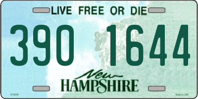 NH license plate 3901644