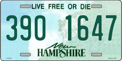 NH license plate 3901647