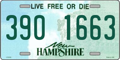 NH license plate 3901663