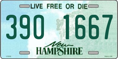 NH license plate 3901667