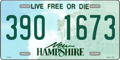 NH license plate 3901673