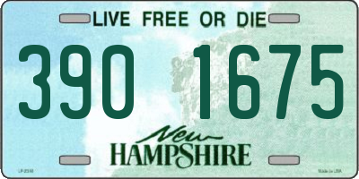 NH license plate 3901675
