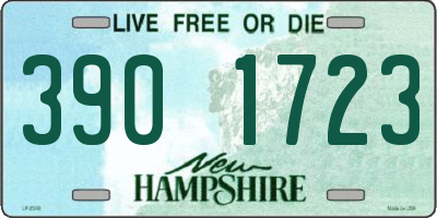 NH license plate 3901723