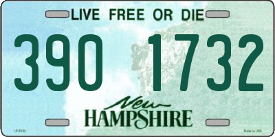 NH license plate 3901732