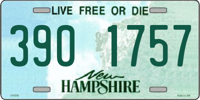 NH license plate 3901757