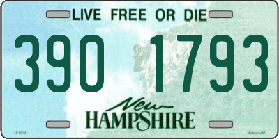 NH license plate 3901793