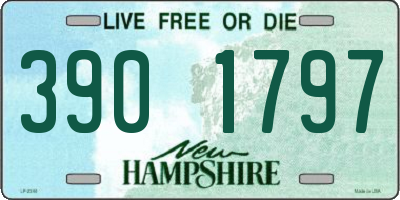 NH license plate 3901797
