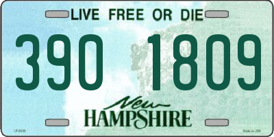 NH license plate 3901809