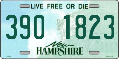 NH license plate 3901823
