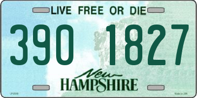 NH license plate 3901827
