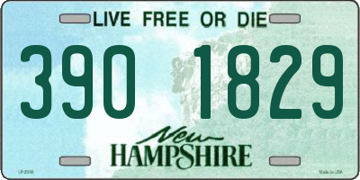 NH license plate 3901829