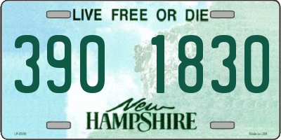 NH license plate 3901830