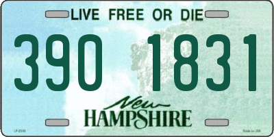 NH license plate 3901831