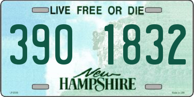 NH license plate 3901832
