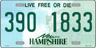 NH license plate 3901833
