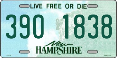 NH license plate 3901838