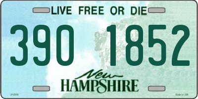 NH license plate 3901852