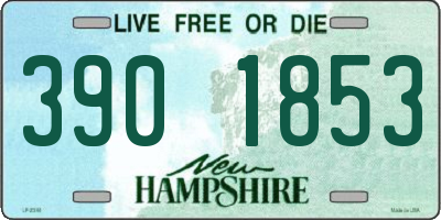 NH license plate 3901853