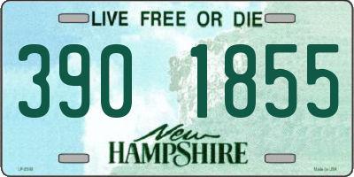 NH license plate 3901855