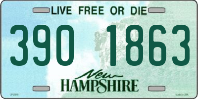 NH license plate 3901863