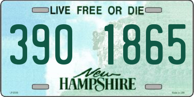 NH license plate 3901865
