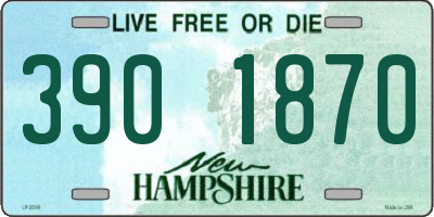 NH license plate 3901870