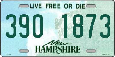 NH license plate 3901873