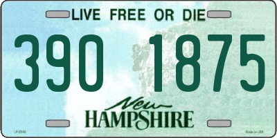 NH license plate 3901875