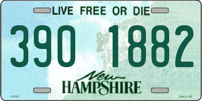 NH license plate 3901882