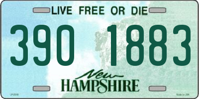 NH license plate 3901883