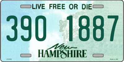 NH license plate 3901887
