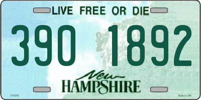 NH license plate 3901892