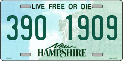 NH license plate 3901909