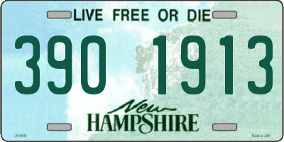 NH license plate 3901913