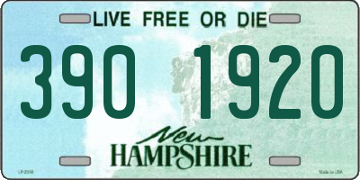 NH license plate 3901920