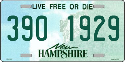 NH license plate 3901929